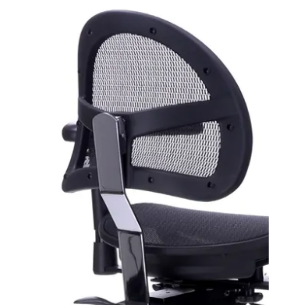 Latashia Ergonomic Office Chair Mesh Big and Tall Computer Desk Chair  -Adjustable Lumbar Support Backrest Headrest